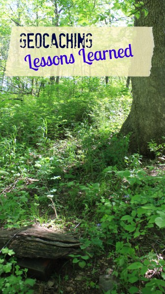 IMG_6595alteredtitle